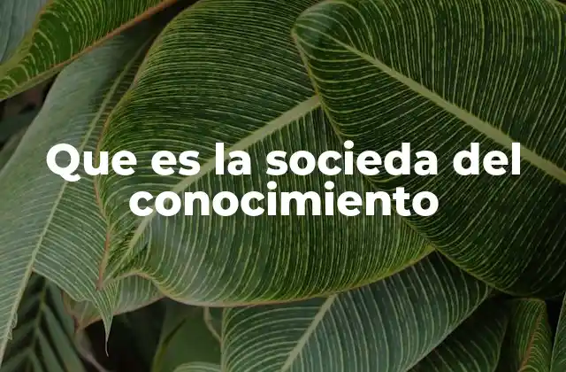 Que es la Socieda Del Conocimiento