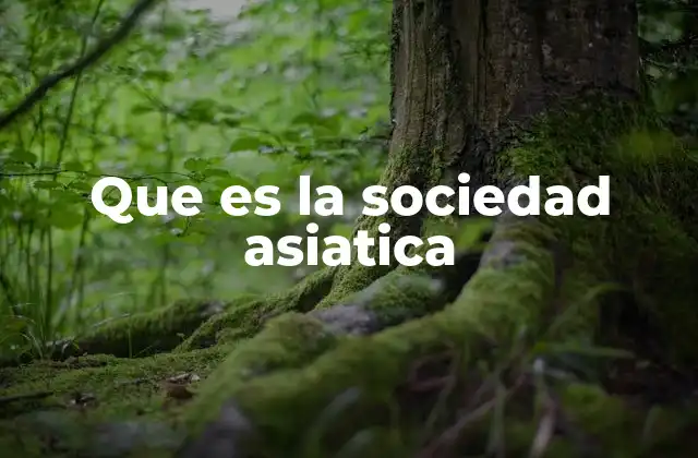 Que es la Sociedad Asiatica