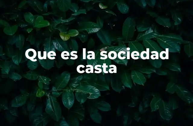 Que es la Sociedad Casta