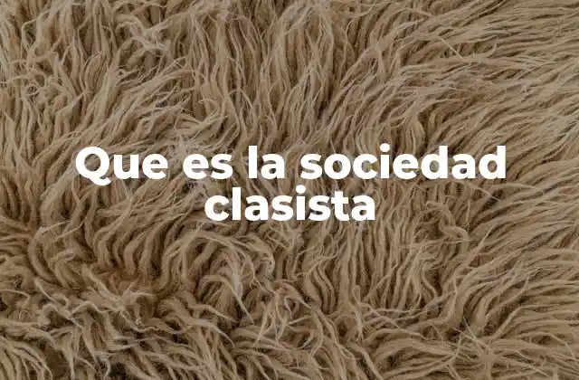 Que es la Sociedad Clasista