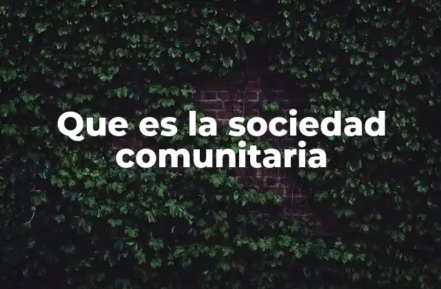 Que es la Sociedad Comunitaria