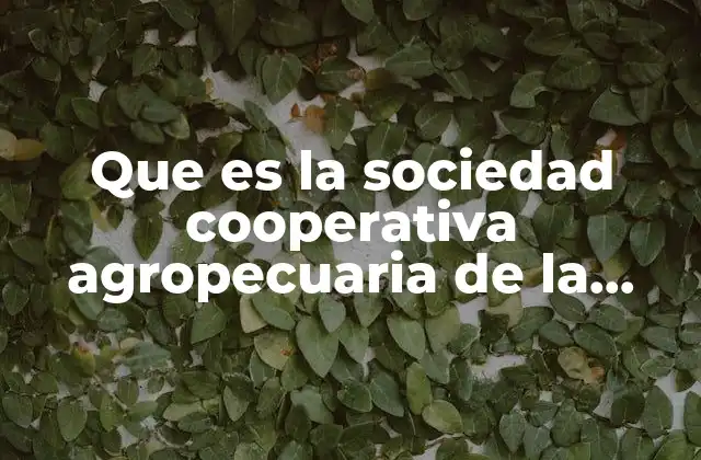 Que es la Sociedad Cooperativa Agropecuaria de la Comarca Lagunera