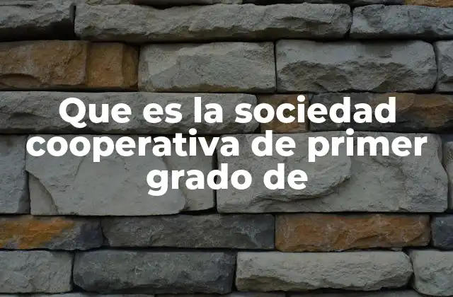 Que es la Sociedad Cooperativa de Primer Grado de