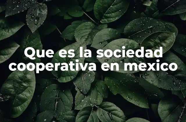 Que es la Sociedad Cooperativa en Mexico