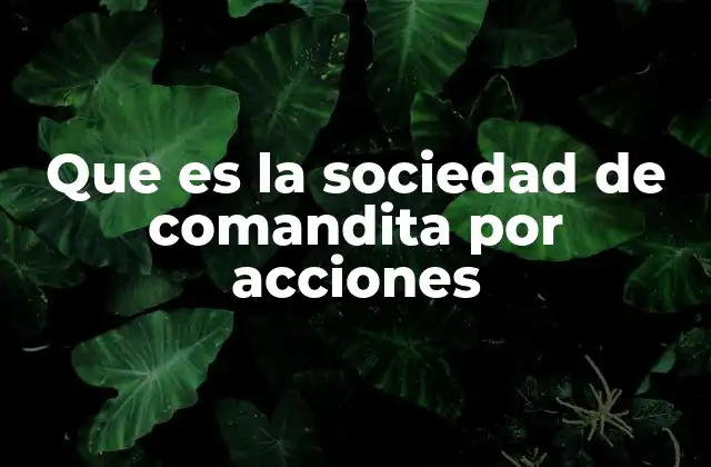 Que es la Sociedad de Comandita por Acciones 2 Características esenciales de este modelo societario