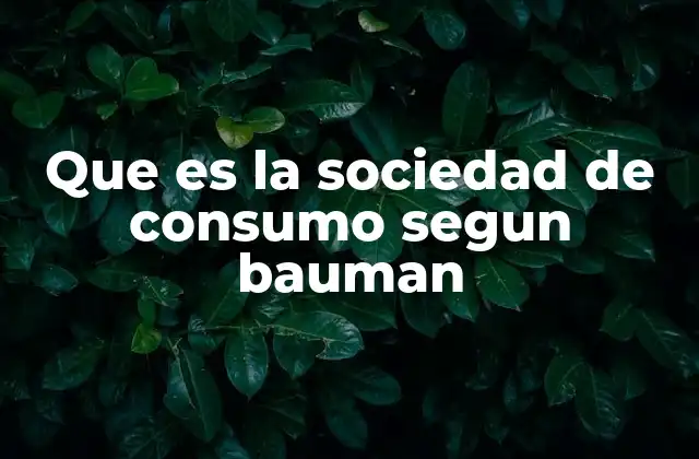 Que es la Sociedad de Consumo Segun Bauman
