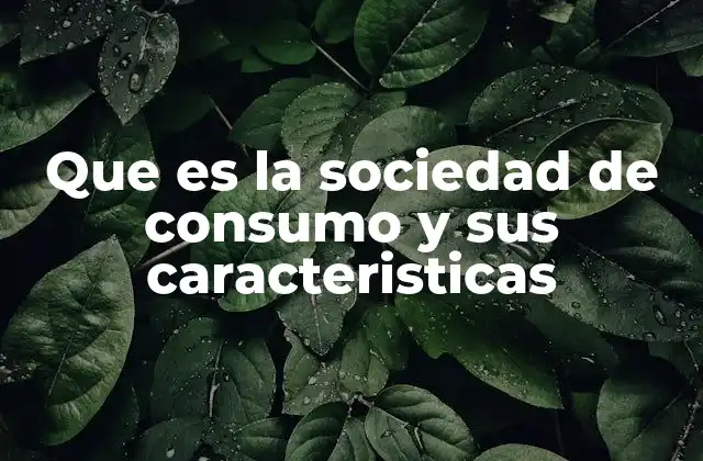 Que es la Sociedad de Consumo y Sus Caracteristicas