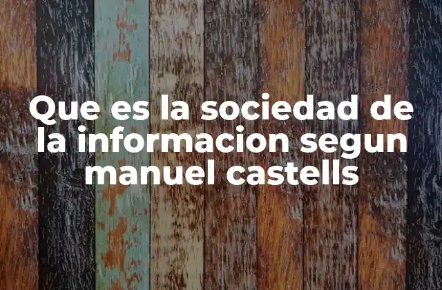 Que es la Sociedad de la Informacion Segun Manuel Castells