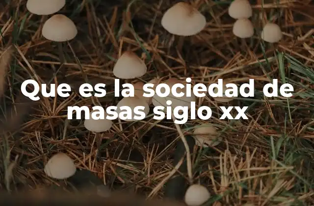 Que es la Sociedad de Masas Siglo Xx