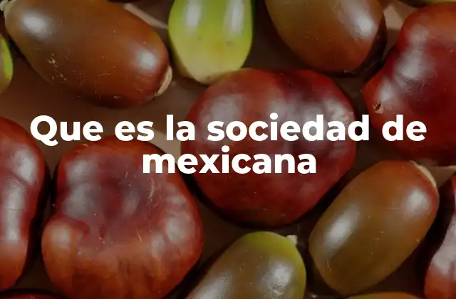 Que es la Sociedad de Mexicana