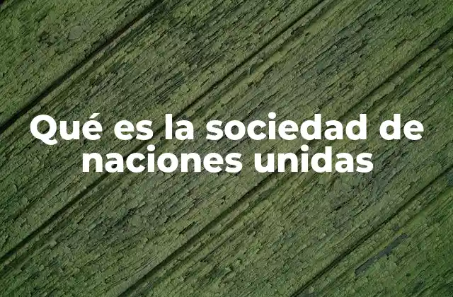 Qué es la Sociedad de Naciones Unidas