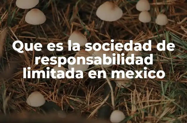 Que es la Sociedad de Responsabilidad Limitada en Mexico