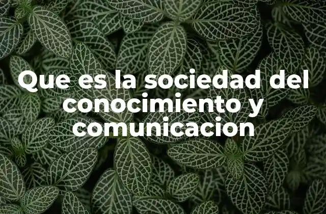 Que es la Sociedad Del Conocimiento y Comunicacion
