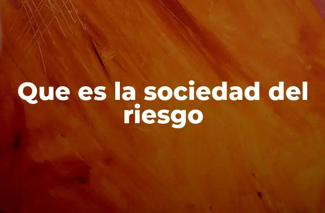 Que es la Sociedad Del Riesgo