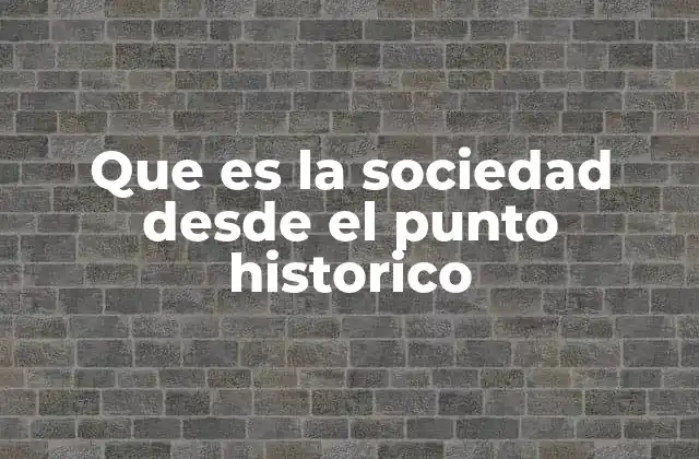 Que es la Sociedad desde el Punto Historico