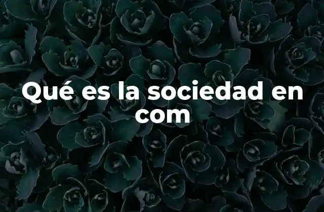 Qué es la Sociedad en Com