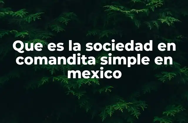 Que es la Sociedad en Comandita Simple en Mexico