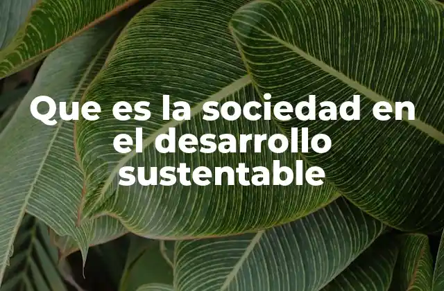 Que es la Sociedad en el Desarrollo Sustentable