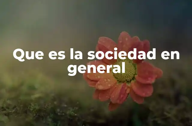 Que es la Sociedad en General 2 Las dimensiones de la convivencia social