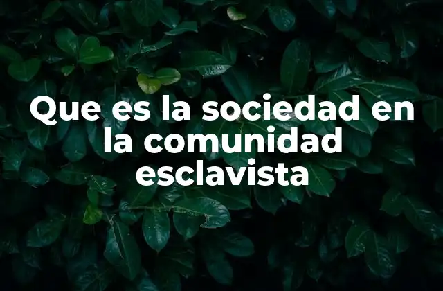 Que es la Sociedad en la Comunidad Esclavista