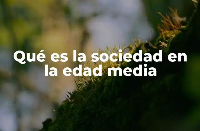 Qué es la Sociedad en la Edad Media