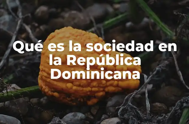Qué es la Sociedad en la República Dominicana