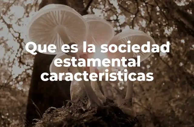 Estructura y funcionamiento de la sociedad estamental