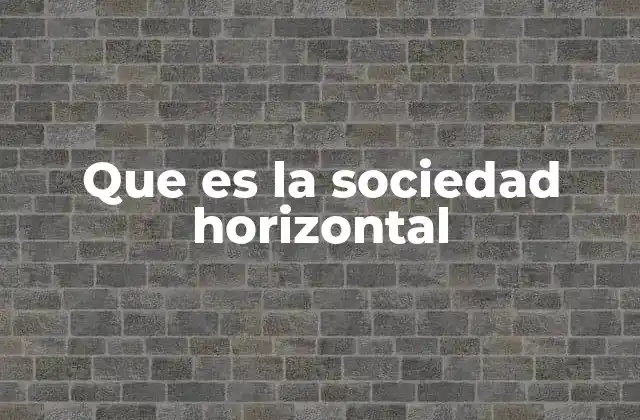 Que es la Sociedad Horizontal