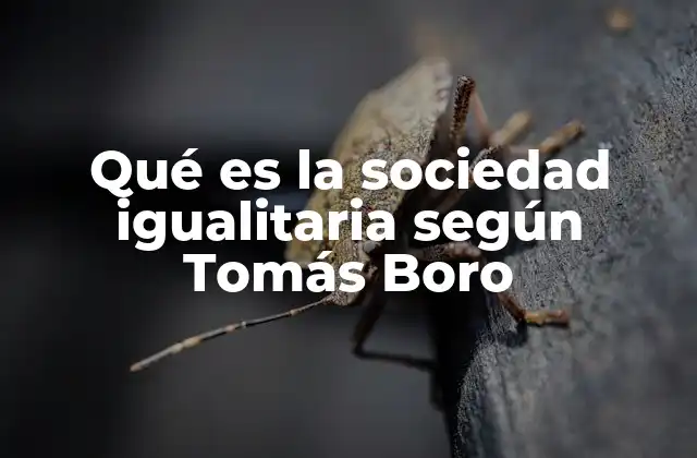 Qué es la Sociedad Igualitaria según Tomás Boro