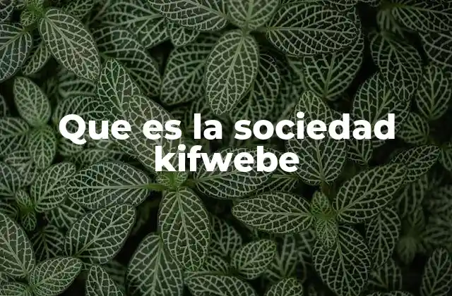 Que es la Sociedad Kifwebe
