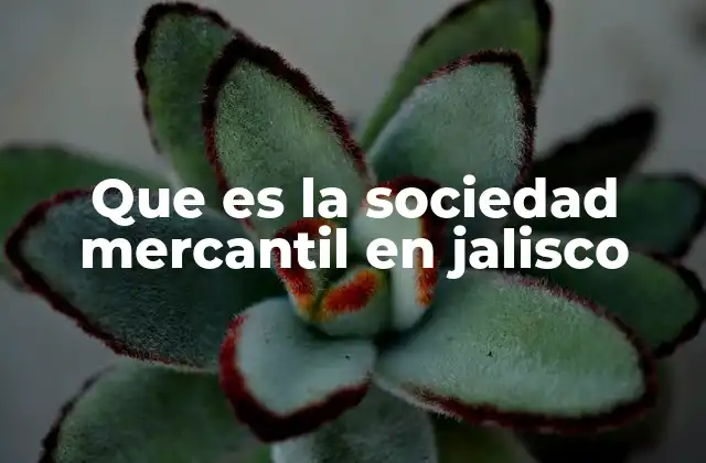 Que es la Sociedad Mercantil en Jalisco