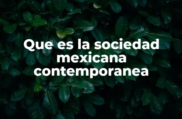 Que es la Sociedad Mexicana Contemporanea