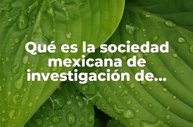 Qué es la Sociedad Mexicana de Investigación de Operaciones