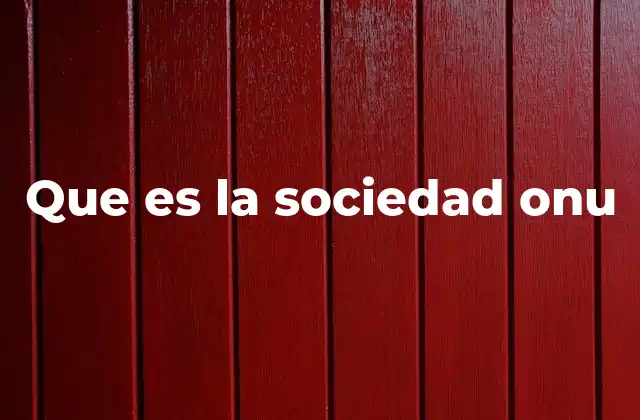 Que es la Sociedad Onu