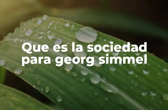 Que es la Sociedad para Georg Simmel