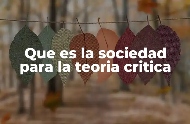 Que es la Sociedad para la Teoria Critica
