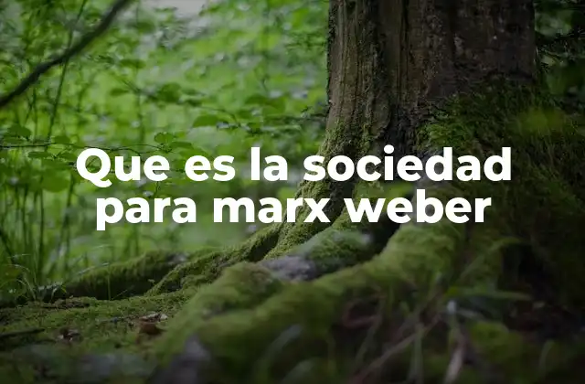 Que es la Sociedad para Marx Weber