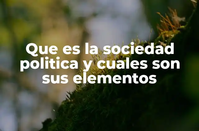 La organización de la vida colectiva en el Estado