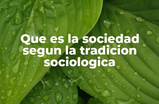 Que es la Sociedad Segun la Tradicion Sociologica