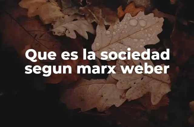 Que es la Sociedad Segun Marx Weber