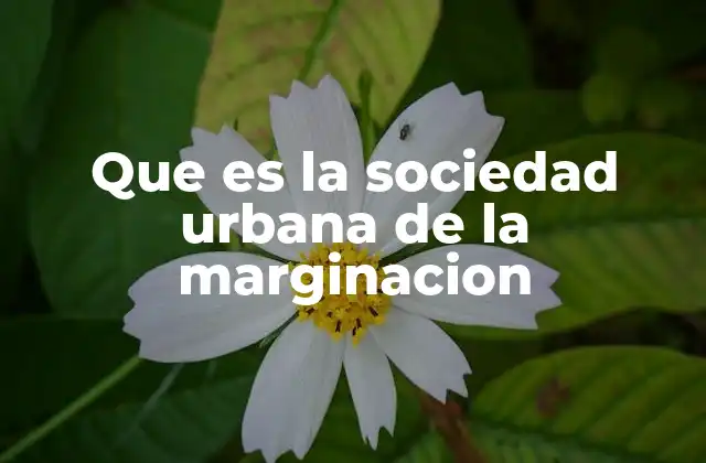 Las causas detrás de la exclusión urbana