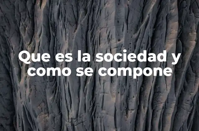Que es la Sociedad y como Se Compone