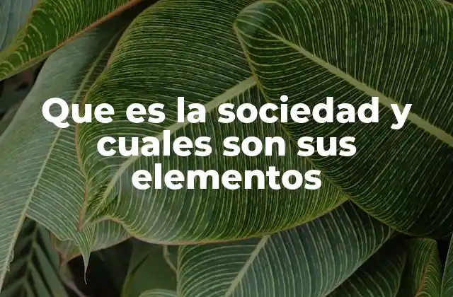 Que es la Sociedad y Cuales Son Sus Elementos