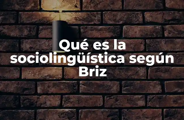 Qué es la Sociolingüística según Briz
