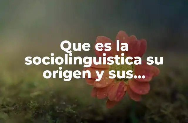 Que es la Sociolinguistica Su Origen y Sus Caracteristicas