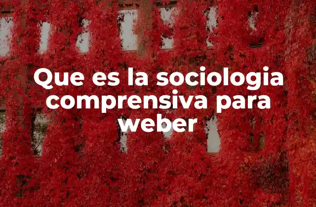 La importancia del significado en la acción social
