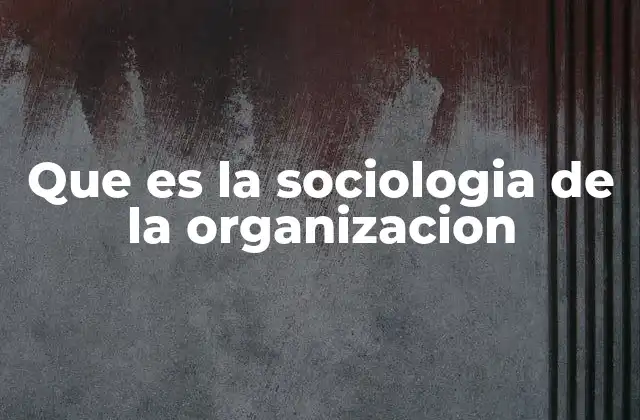 Que es la Sociologia de la Organizacion