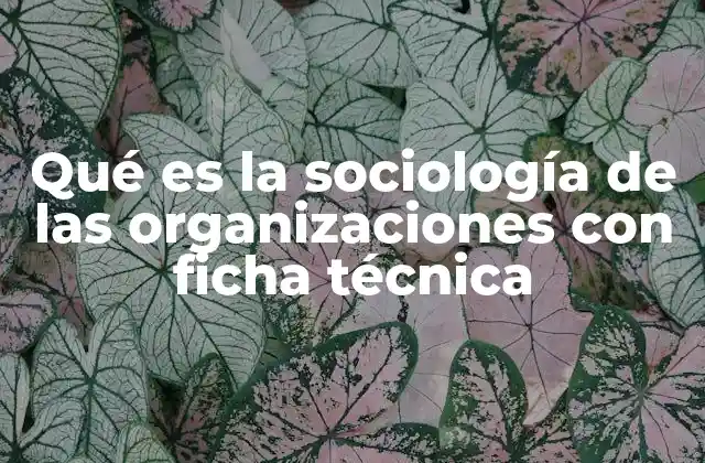 Qué es la Sociología de las Organizaciones con Ficha Técnica