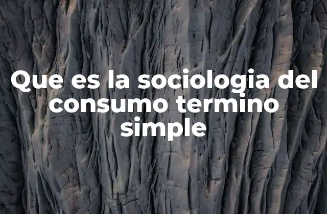 Que es la Sociologia Del Consumo Termino Simple 2 La relación entre consumo y sociedad
