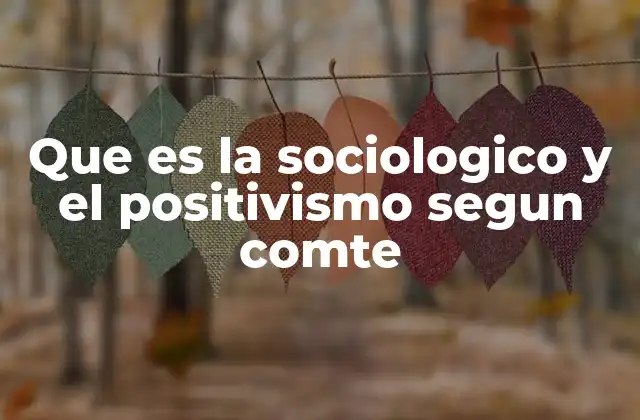 Que es la Sociologico y el Positivismo Segun Comte
